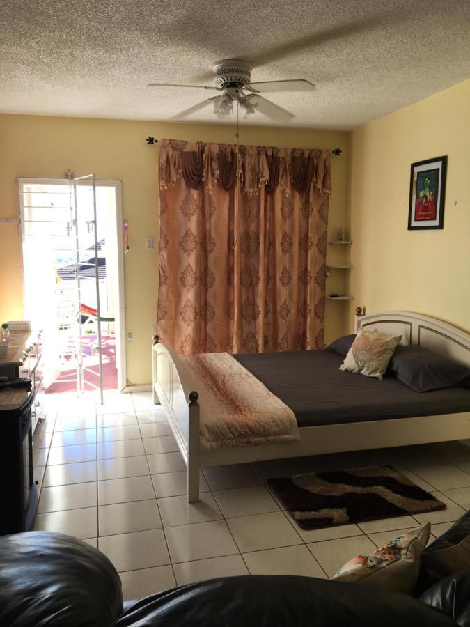 #D1 Castle Studio Wifi King Bed Ocho Rios Jamaica Экстерьер фото